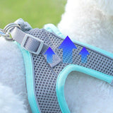 Cool Pastel Vest Harness & Leash Combo - 11: FancyPetTags.com