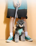 Cool Pastel Vest Harness & Leash Combo - 3: FancyPetTags.com