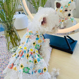 Daisy Lace Pet Dress - 6: FancyPetTags.com