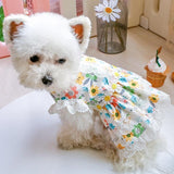Daisy Lace Pet Dress - 8: FancyPetTags.com