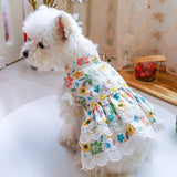 Daisy Lace Pet Dress - 7: FancyPetTags.com