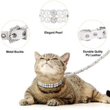 Decorative Pearl Collar - FancyPetTags.com