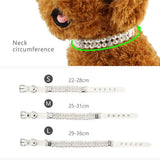 Decorative Pearl Collar - FancyPetTags.com