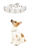 Decorative Pearl Collar - FancyPetTags.com