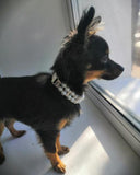 Decorative Pearl Collar - FancyPetTags.com