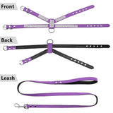 DiDog Bling Bling No Pull Harness & Leash Combo - 4: FancyPetTags.com