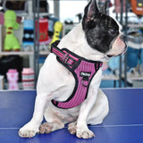 DiDog No-pull Nylon Dog Harness - www.FancyPetTags.com