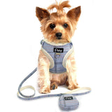 Didog Plaid Series Front Clip No Pull Harness Leash Combo - 3: FancyPetTags.com