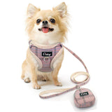 Didog Plaid Series Front Clip No Pull Harness Leash Combo - 4: FancyPetTags.com