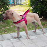Dogfad Bi-Directional No Pull Harness - www.FancyPetTags.com