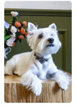 Dreamy Luxurious Rhinestones Pet Collar - 7: FancyPetTags.com
