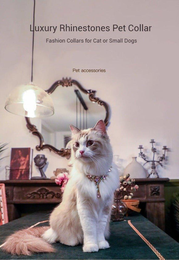 Dreamy Luxurious Rhinestones Pet Collar - 1: FancyPetTags.com