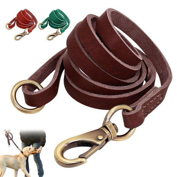 Extra Long Genuine Leather Dog Leash - 1: FancyPetTags.com