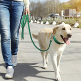 Extra Long Genuine Leather Dog Leash - 6: FancyPetTags.com