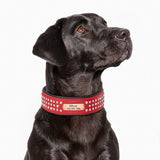.FPT Concierge Service - Prepared for Strycen - Option 1 - 2: FancyPetTags.com