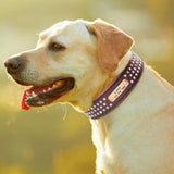 .FPT Concierge Service - Prepared for Strycen - Option 1 - 4: FancyPetTags.com