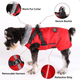 Furry Thick Fleece Winter Dog Jacket with Removable Back Clip Harness - 10: FancyPetTags.com