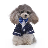 Gentleman Pinstripe Pet Tuxedo - 2: FancyPetTags.com
