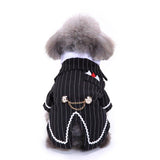 Gentleman Pinstripe Pet Tuxedo - 10: FancyPetTags.com