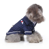 Gentleman Pinstripe Pet Tuxedo - 3: FancyPetTags.com