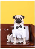 Gentlemen Dog Clothes - www.FancyPetTags.com