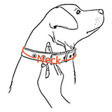 High Reflective Personalized Pet Collar with Bell - 16: FancyPetTags.com