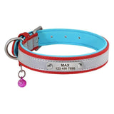 High Reflective Personalized Pet Collar with Bell - 13: FancyPetTags.com