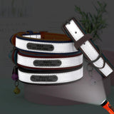 High Reflective Personalized Pet Collar with Bell - 7: FancyPetTags.com