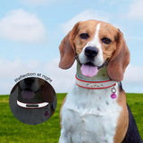 High Reflective Personalized Pet Collar with Bell - 6: FancyPetTags.com