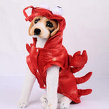 Hilarious Caricature Lobster Costume - www.FancyPetTags.com