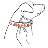 Lacy Fashion Personalized Name Tag Pet ID Collar & Leash combo - 14: FancyPetTags.com