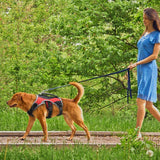Large Dog Lift Handle No Pull Harness - 3: FancyPetTags.com