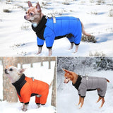 Long Sleeves Winter Harness Jacket - 2: FancyPetTags.com