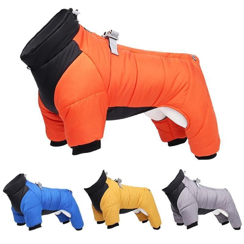 Veste d'hiver à manches longues avec harnais : FancyPetTags.com