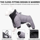 Long Sleeves Winter Harness Jacket - 7: FancyPetTags.com
