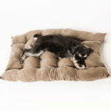Luxurious Cushioned Sofa or Nest Pet Bed Mat - 19: FancyPetTags.com