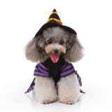 Magical Witch Cosplay Pet Costume FancyPetTags