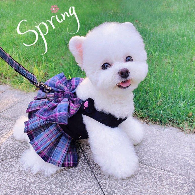 Floral Dress Dog Harness & Leash Set