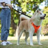 No Pull & Lift Handle Dog Harness - 2: FancyPetTags.com