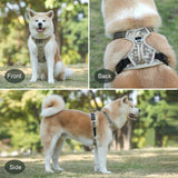 No Pull & Lift Handle Dog Harness - 3: FancyPetTags.com