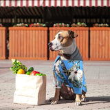 Pawaii Inspired Summer Pet Shirt - FancyPetTags.com