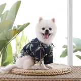 Pawaii Inspired Summer Pet Shirt - 12: FancyPetTags.com