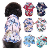 Pawaii Inspired Summer Pet Shirt - 1: FancyPetTags.com