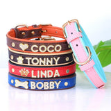 Personalized Bling Bling Rhinestone Charm Collar - 2: FancyPetTags.com