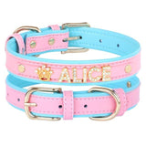 Personalized Bling Bling Rhinestone Charm Collar - 22: FancyPetTags.com