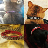 Personalized Bling Bling Rhinestone Collar - 3: FancyPetTags.com