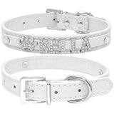 Personalized Bling Bling Rhinestone Collar - 11: FancyPetTags.com