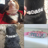 Personalized Bling Bling Rhinestone Collar - 4: FancyPetTags.com