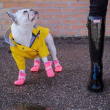 Premium Hooded Dog Raincoat - 10: FancyPetTags.com