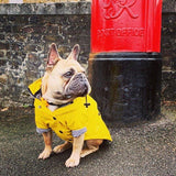 Premium Hooded Dog Raincoat - 7: FancyPetTags.com
